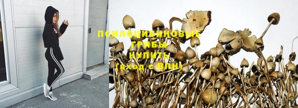 мескалин Лагань