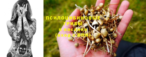 ГАЛЛЮЦИНОГЕННЫЕ ГРИБЫ Лабытнанги
