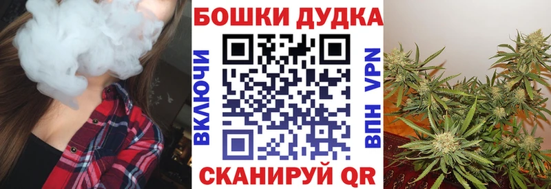 купить   Кущёвская  omg ONION  Марихуана гибрид 